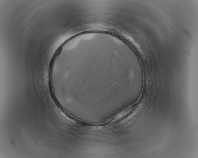 X0000112031463200908311205