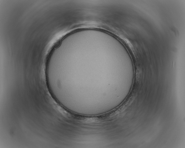 X0000112031464200908311205
