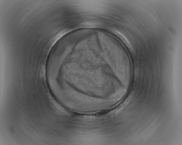 X0000112031465200908311205