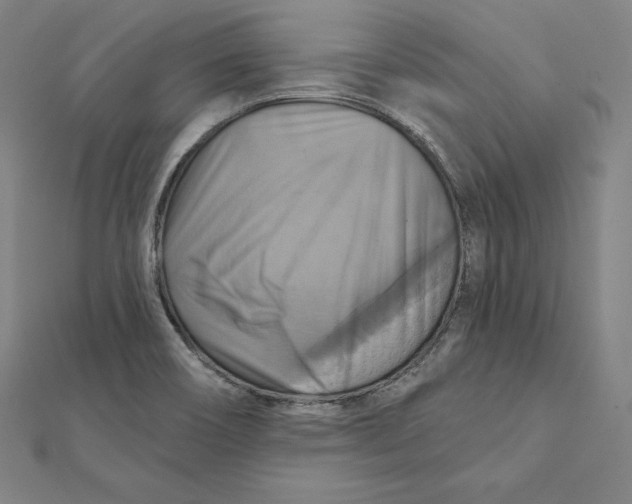 X0000112031466200908311205