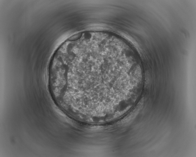 X0000112031467200908311205