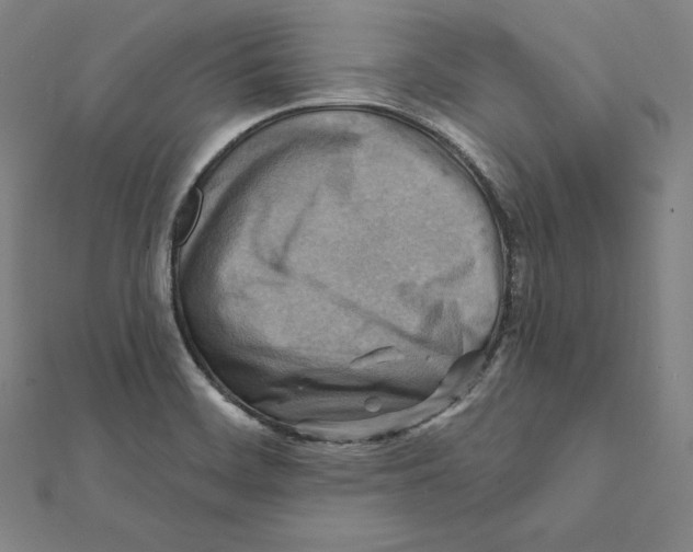 X0000112031468200908311205