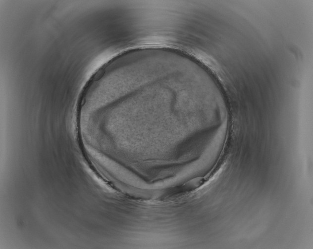 X0000112031469200908311205