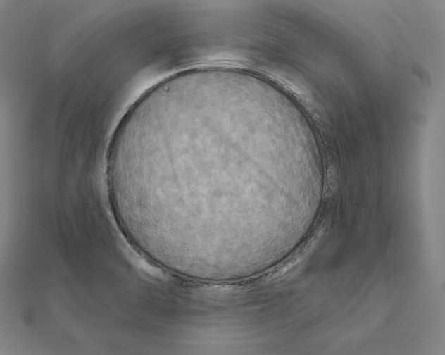 X0000112031470200908311205