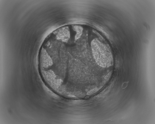 X0000112031471200908311205