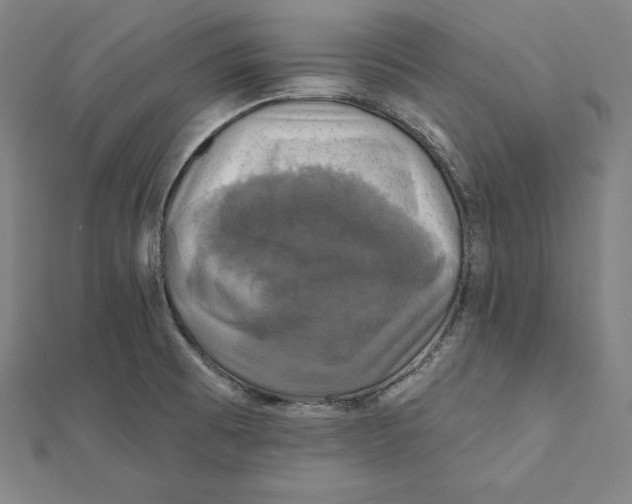 X0000112031473200908311205