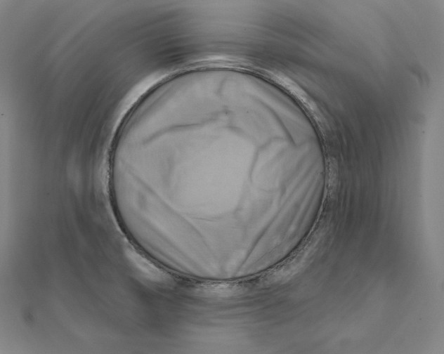 X0000112031474200908311205
