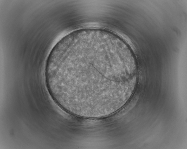 X0000112031475200908311205