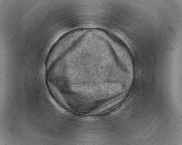 X0000112031476200908311205