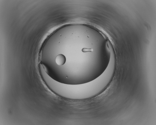 X0000112031477200908311205
