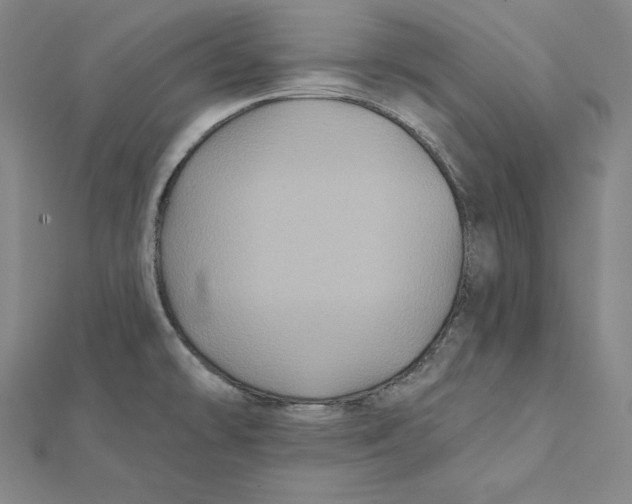 X0000112031478200908311205