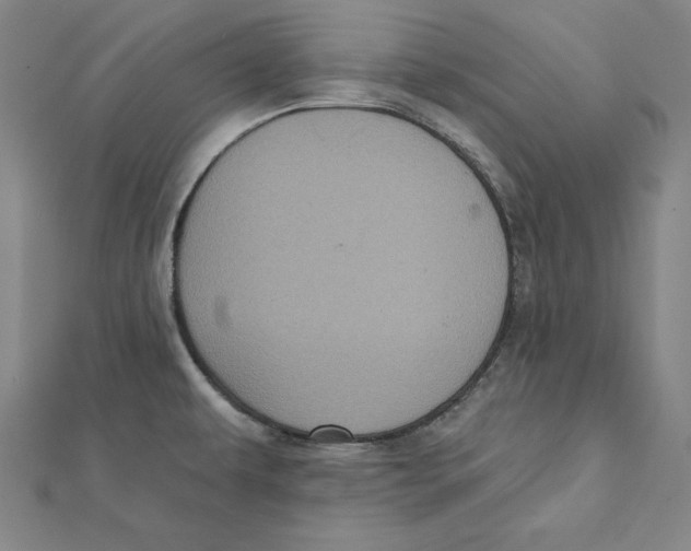 X0000112031479200908311205