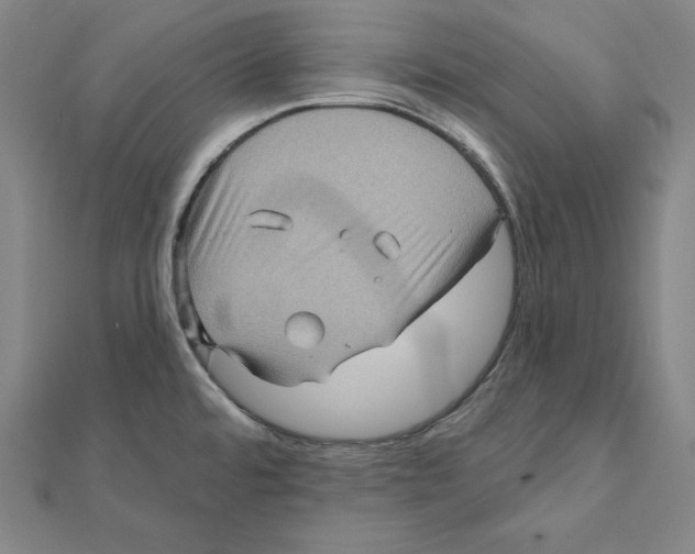 X0000112031480200908311205