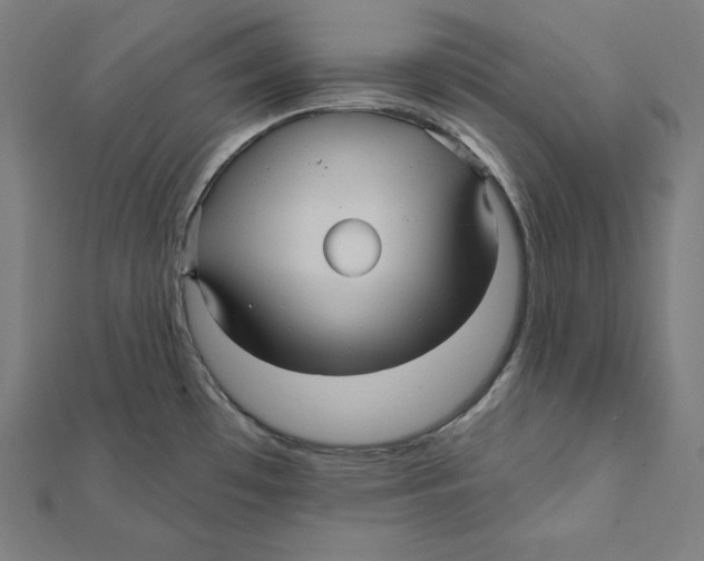 X0000112031481200908311205