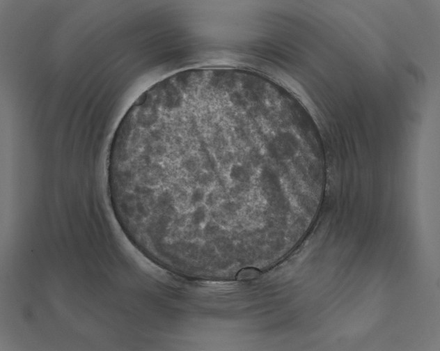 X0000112031483200908311205