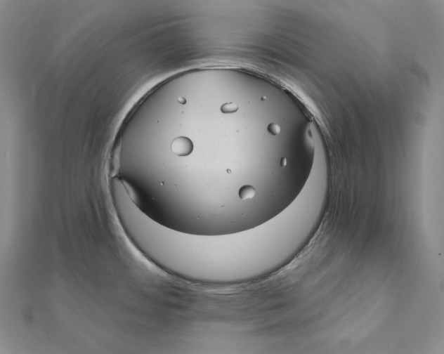 X0000112031484200908311205