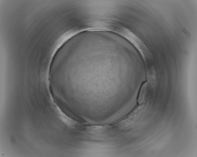 X0000112031485200908311205