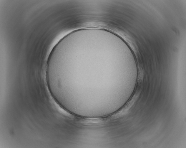 X0000112031486200908311205