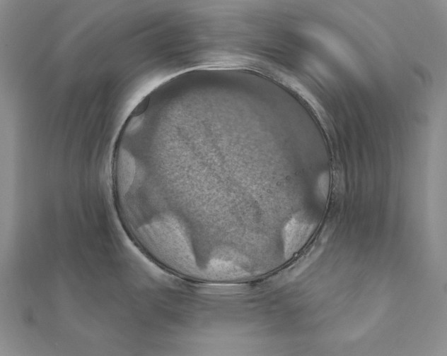 X0000112031487200908311205