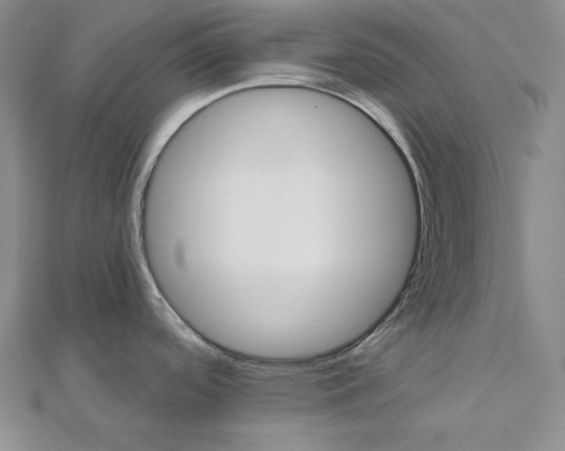 X0000112031488200908311205