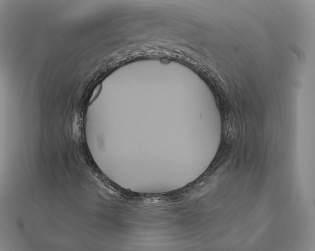 X0000112031490200908311204