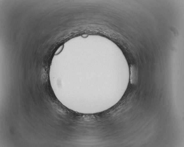 X0000112031491200908311204