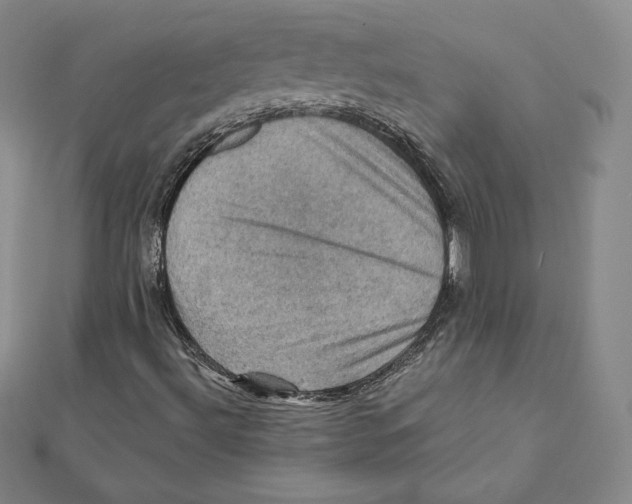 X0000112031492200908311204