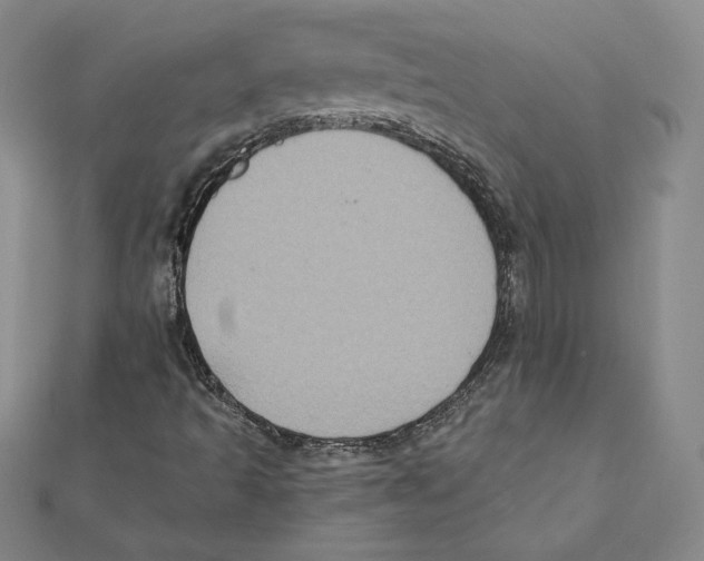 X0000112031493200908311204
