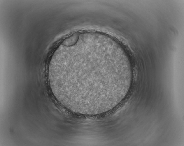 X0000112031494200908311204