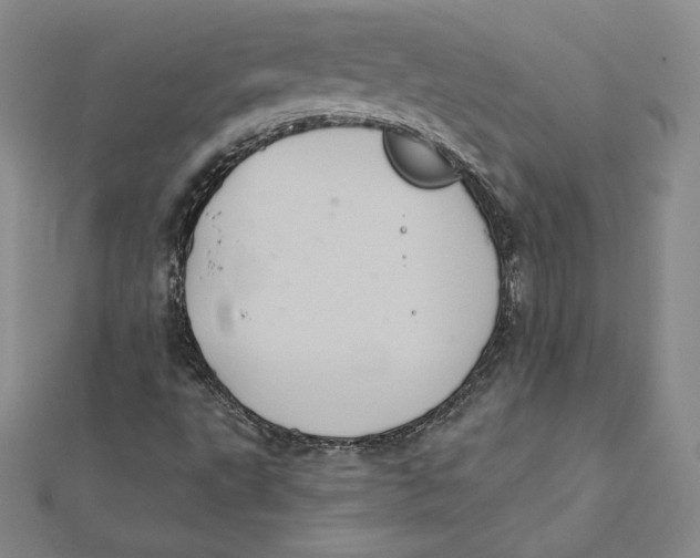 X0000112031495200908311204