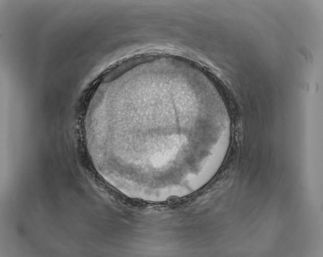 X0000112031496200908311204
