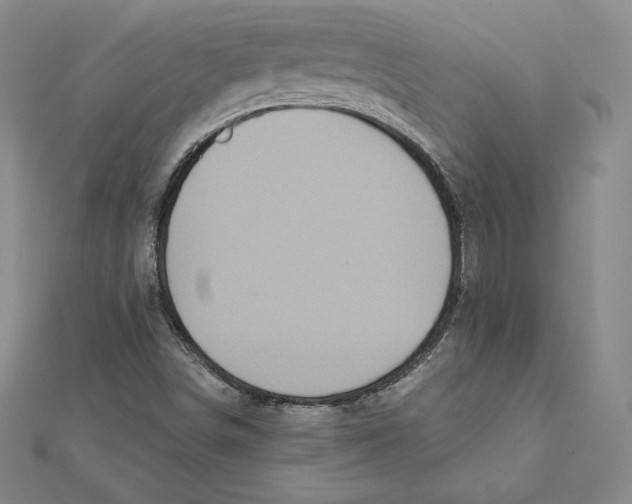 X0000112031498200908311204