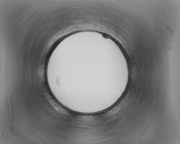 X0000112031499200908311204