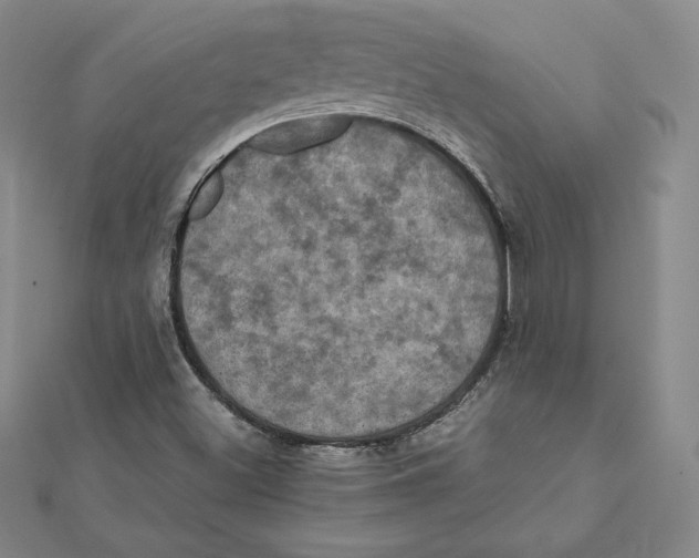 X0000112031500200908311204