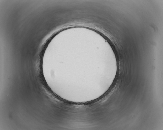 X0000112031502200908311204