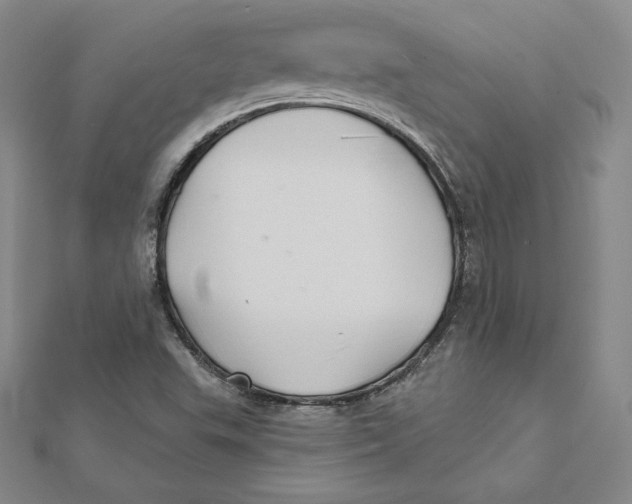 X0000112031503200908311205