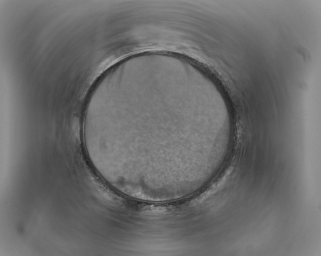X0000112031505200908311205
