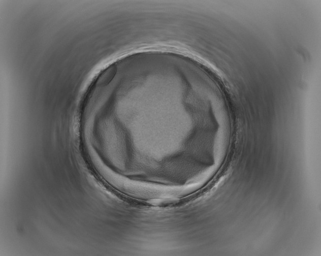 X0000112031506200908311205