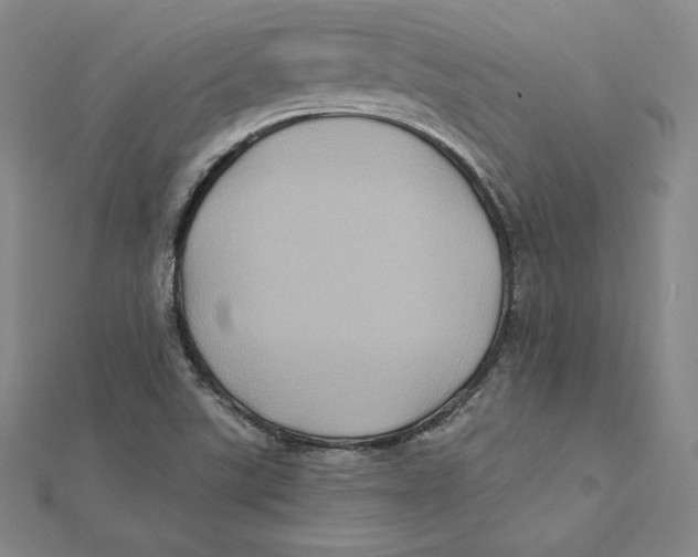 X0000112031507200908311205