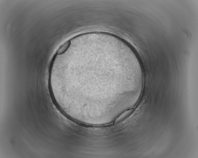 X0000112031508200908311205