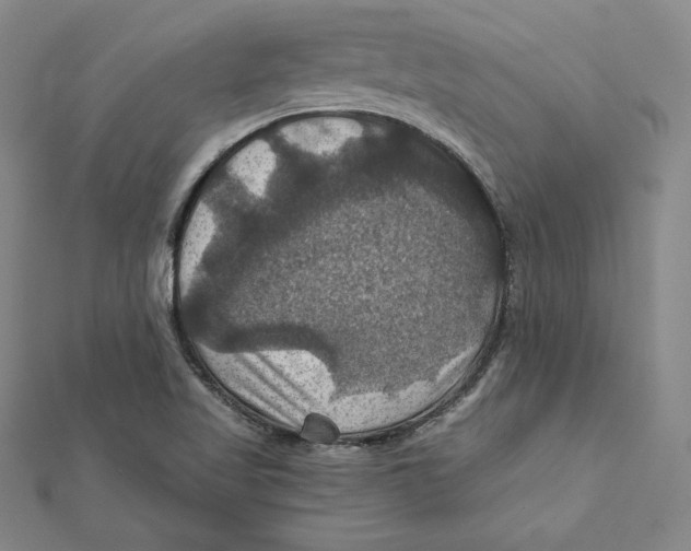 X0000112031509200908311205
