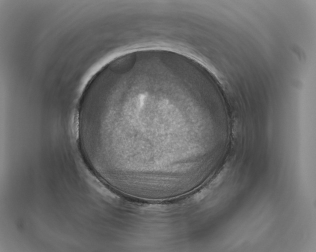 X0000112031510200908311205