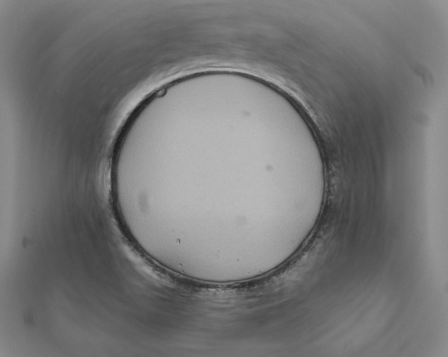 X0000112031511200908311205