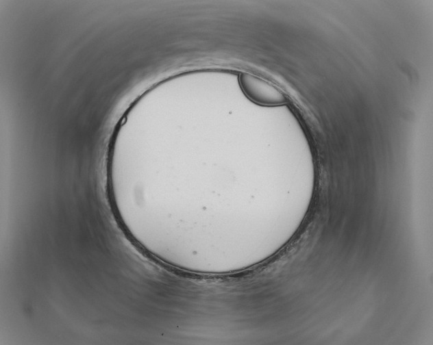 X0000112031512200908311205