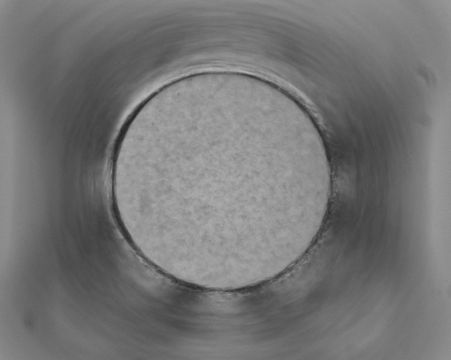 X0000112031514200908311205
