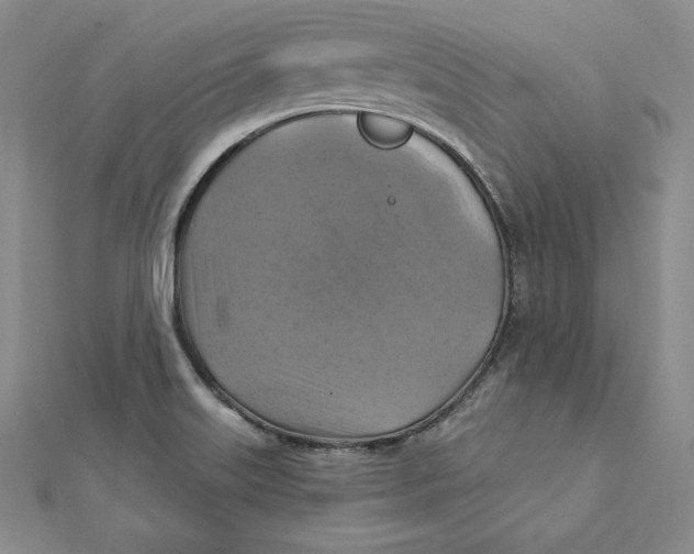 X0000112031515200908311205