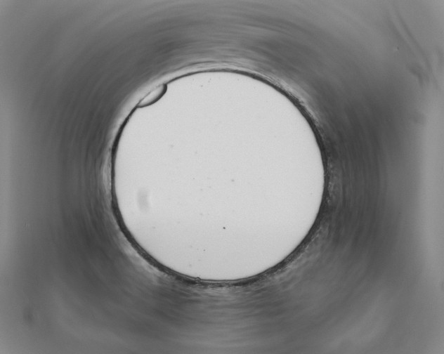 X0000112031516200908311205