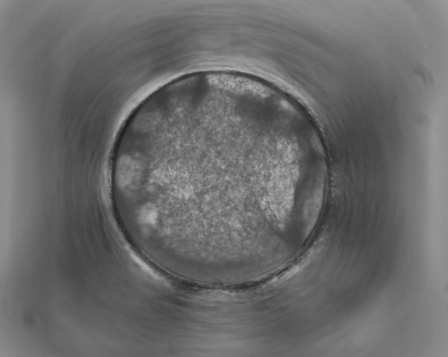 X0000112031517200908311205