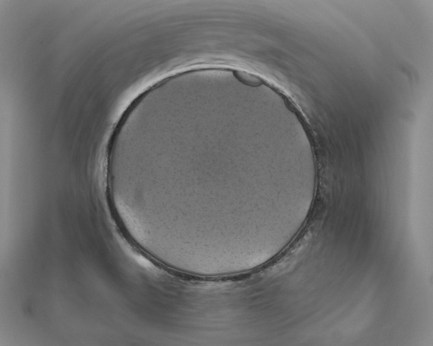 X0000112031519200908311205