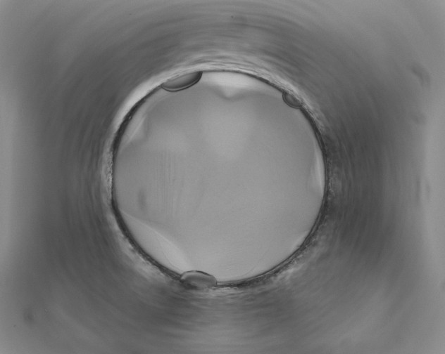 X0000112031522200908311205